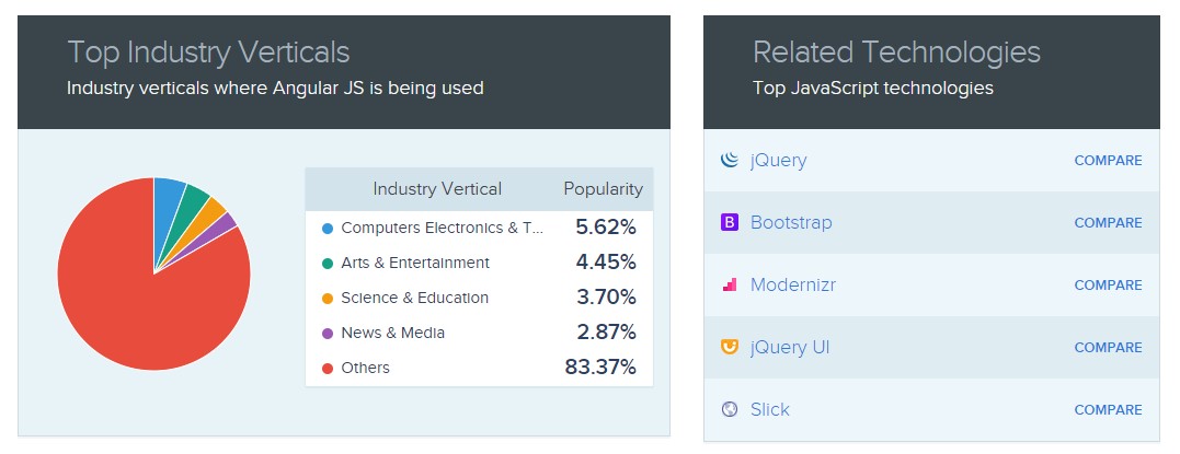 Angular JS Industry Verticals