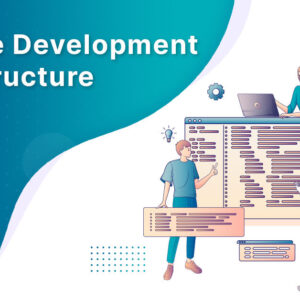 Software Development Team Structure