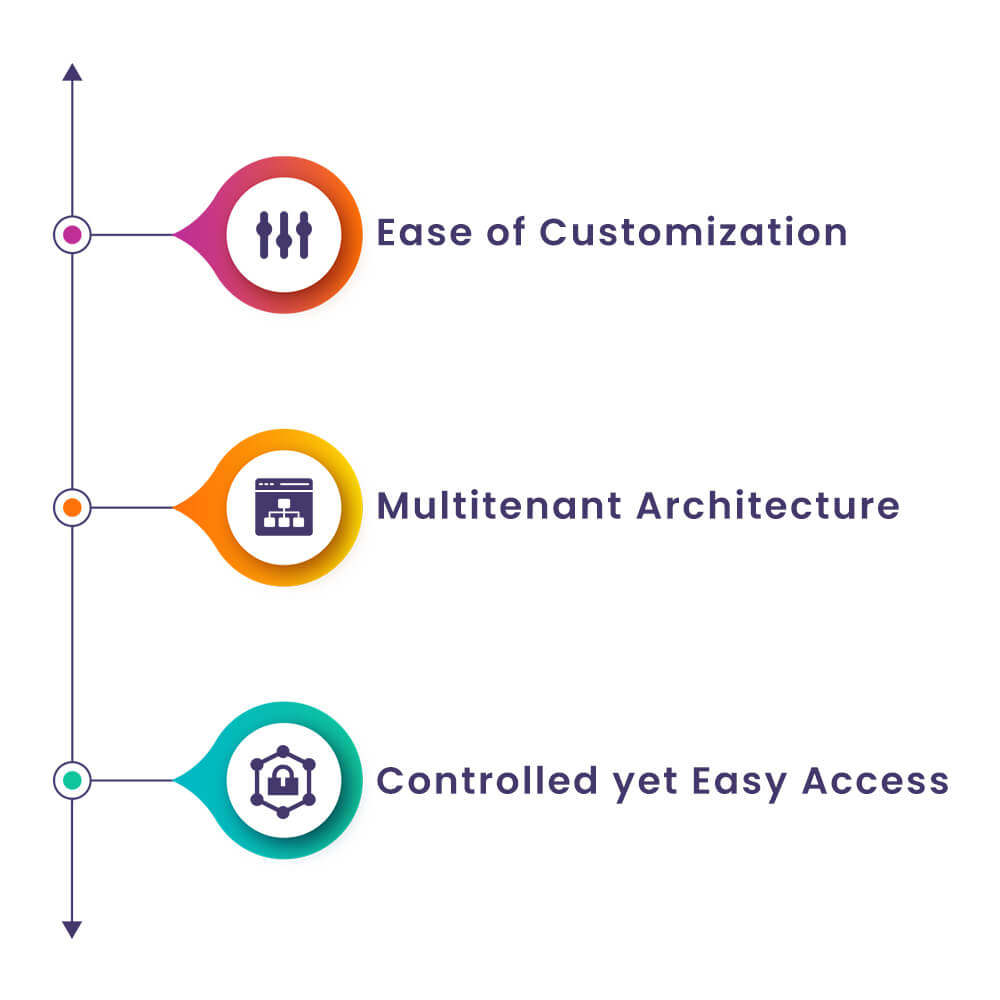 characteristics of the SaaS model