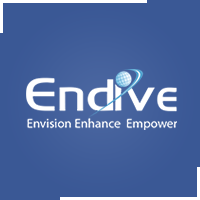 Endive Software