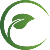 Organik SEO