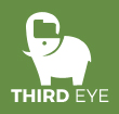 ThirdEye Data