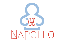 Napollo Software Design L.L.C