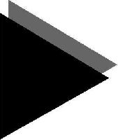 Black Turtle Diginovation Pvt _logo