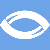 Blackthorn Vision_logo