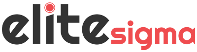 EliteSigma Infotech_logo