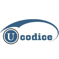 Ucodice IT Company