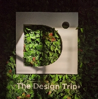 The Design Trip
