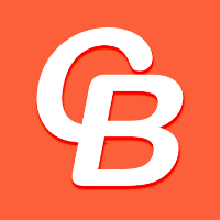 CodeBrisk