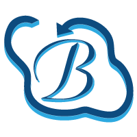 Bhavitra Technologies Limited