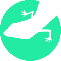 Lizard Global_logo