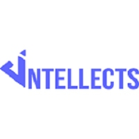 Dintellects Solutions Private 