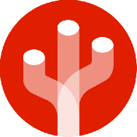 CactusSoft