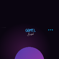 Gomel Digital Inc