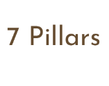 7 Pillars