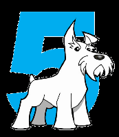 Five Dog Solutions