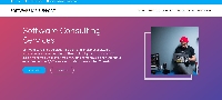 Software Consulting Services i