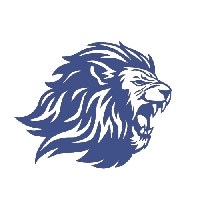 Leo Coders Private Limited