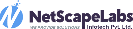 Nsl Infotech Pvt Ltd_logo