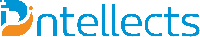 Dintellects Solutions Private 