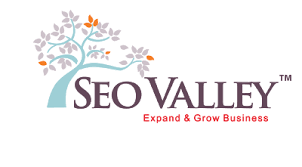 SEOValley Solutions Pvt. Ltd