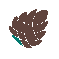 Pine Technologies