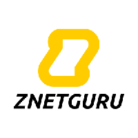 znetguru consultoria seo