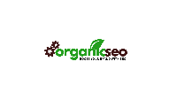 Organic SEO IT