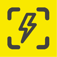 The New Standard_logo