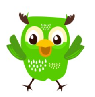 LoudOwls Solutions Private Ltd